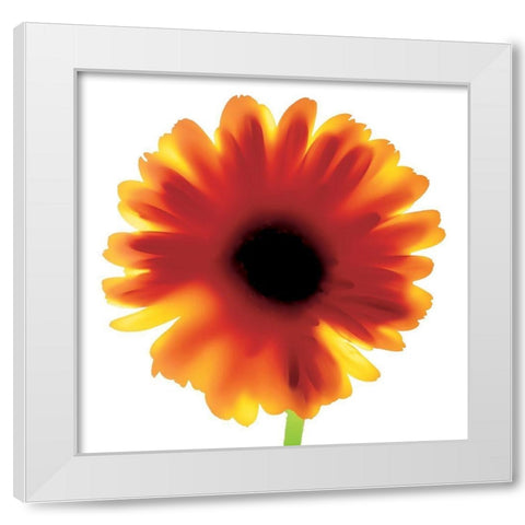 Floral I White Modern Wood Framed Art Print by Unknown