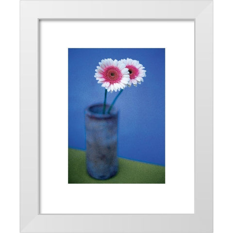 Pink Daisies White Modern Wood Framed Art Print by Frontline