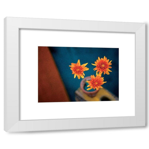 Orange Mums White Modern Wood Framed Art Print by Frontline