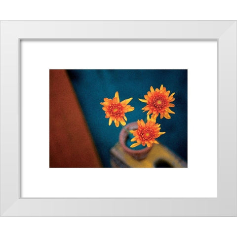 Orange Mums White Modern Wood Framed Art Print by Frontline