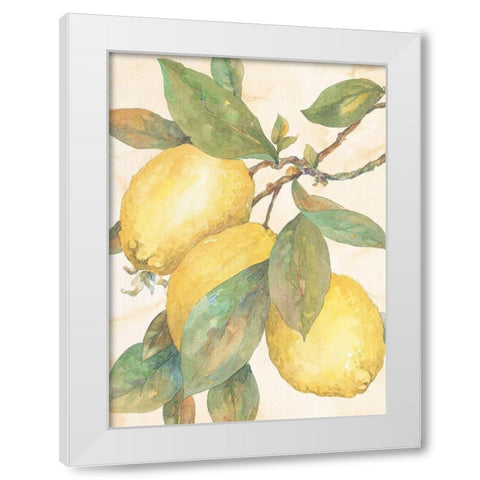 Hanging Lemons White Modern Wood Framed Art Print by Unknown