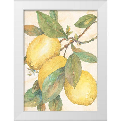 Hanging Lemons White Modern Wood Framed Art Print by Unknown