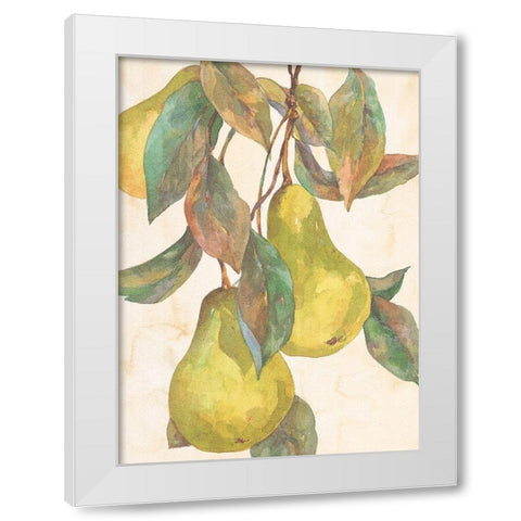 Hanging Pears White Modern Wood Framed Art Print by Unknown