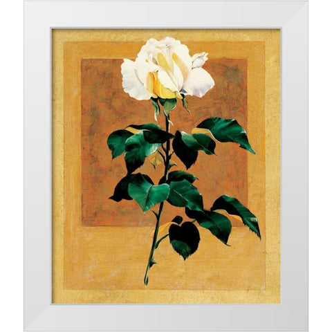 White Rose II White Modern Wood Framed Art Print by Unknown