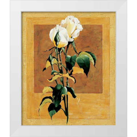 White Rose III White Modern Wood Framed Art Print by Unknown