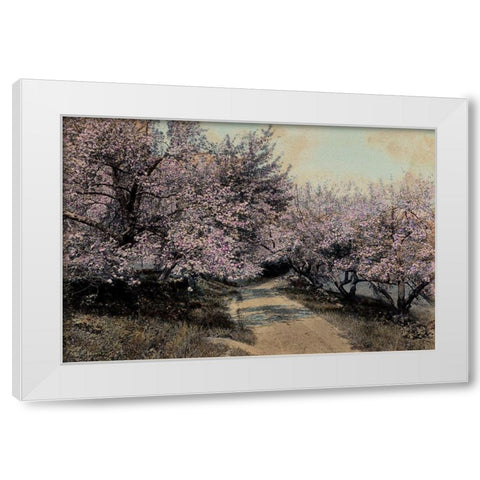 Apple Blossoms I White Modern Wood Framed Art Print by Unknown