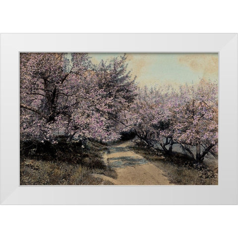Apple Blossoms I White Modern Wood Framed Art Print by Unknown