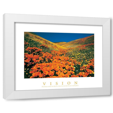 Vision - Edelweiss Flowers White Modern Wood Framed Art Print by Unknown