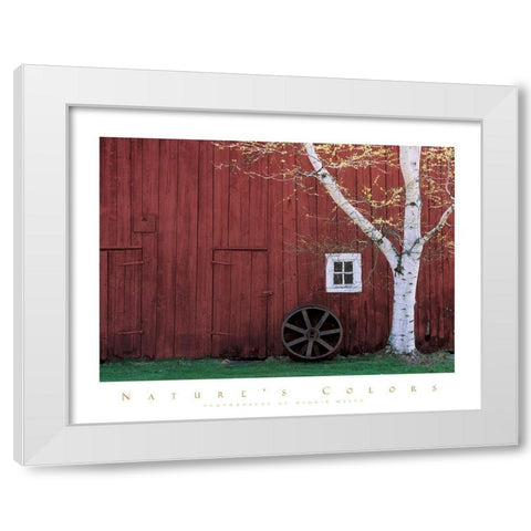 Red Barn and Aspen Tree White Modern Wood Framed Art Print by Unknown