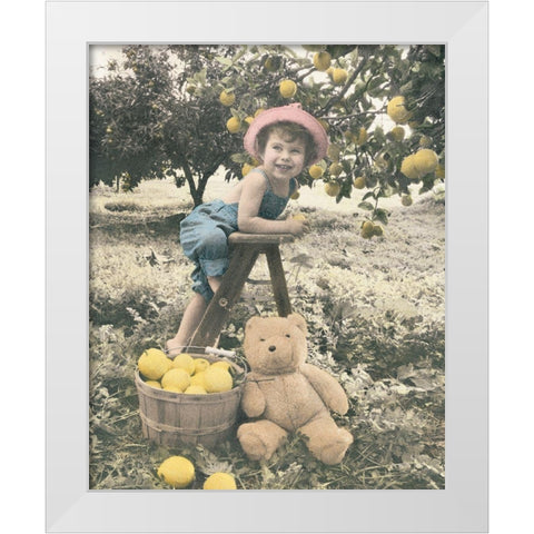 Girl Picking Apples White Modern Wood Framed Art Print by Unknown