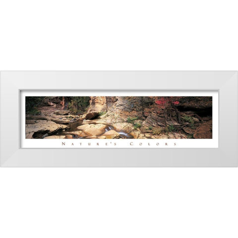 Rock Pond - Nature White Modern Wood Framed Art Print by Unknown