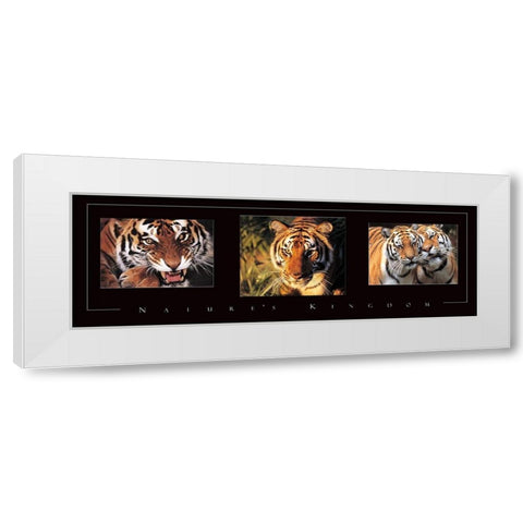 Tiger Tryp White Modern Wood Framed Art Print by Frontline