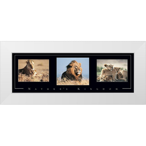 Lion Tryp White Modern Wood Framed Art Print by Unknown