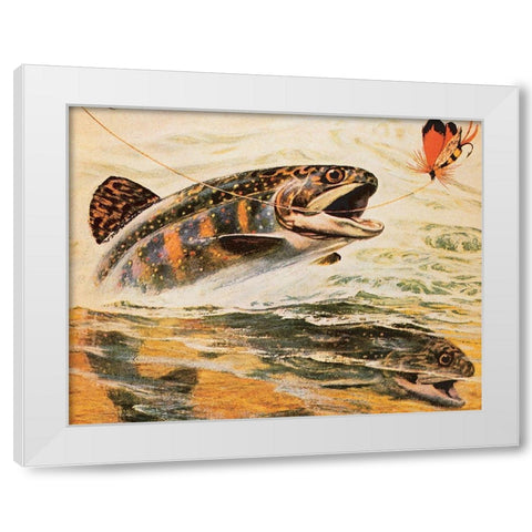 Trout and Fly White Modern Wood Framed Art Print by Unknown