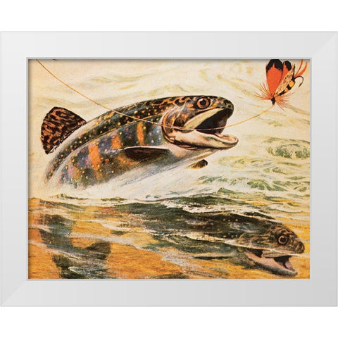 Trout and Fly White Modern Wood Framed Art Print by Unknown