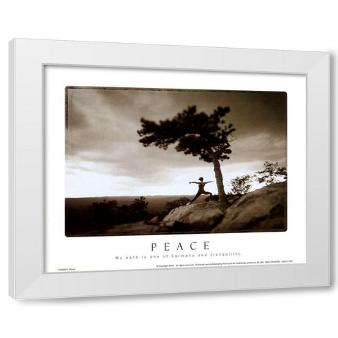 Zen - Peace White Modern Wood Framed Art Print by Unknown