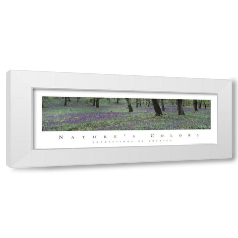 Natures Colors Purple Flowers White Modern Wood Framed Art Print by Unknown