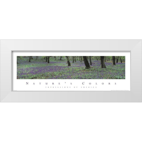 Natures Colors Purple Flowers White Modern Wood Framed Art Print by Unknown