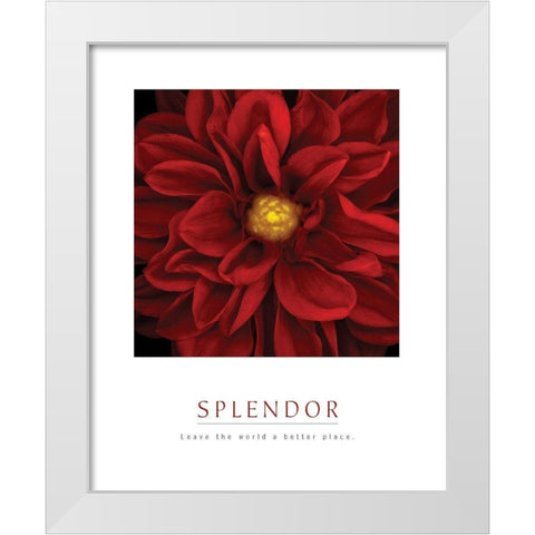 Splendor - Red Pool White Modern Wood Framed Art Print by Unknown