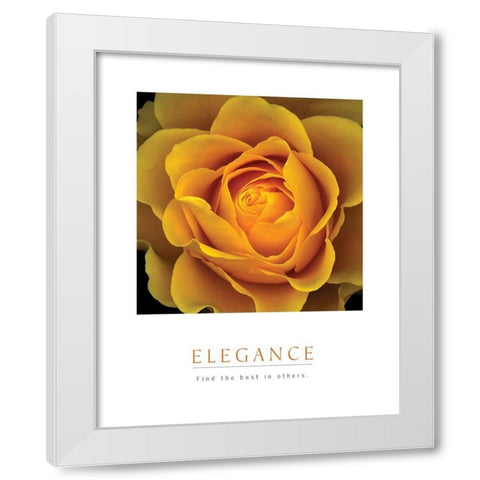 Elegance - Peach Rose White Modern Wood Framed Art Print by Unknown