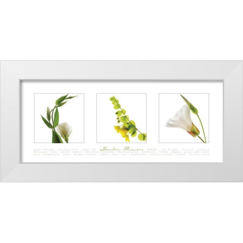 Garden Flowers V White Modern Wood Framed Art Print by Frontline