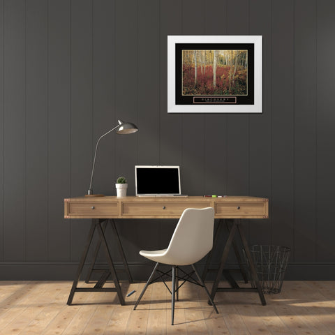Discovery - Aspen Trees White Modern Wood Framed Art Print by Frontline