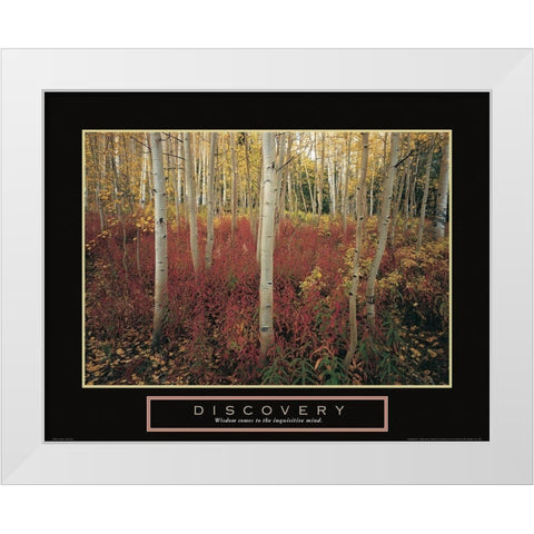 Discovery - Aspen Trees White Modern Wood Framed Art Print by Frontline