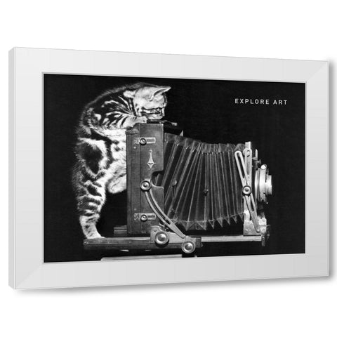 Cat and Camera White Modern Wood Framed Art Print by Frontline
