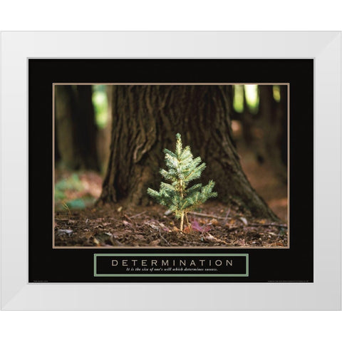 Determination - Little Pine White Modern Wood Framed Art Print by Frontline