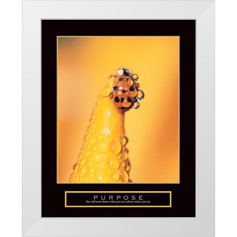 Purpose - Lady Bug White Modern Wood Framed Art Print by Frontline