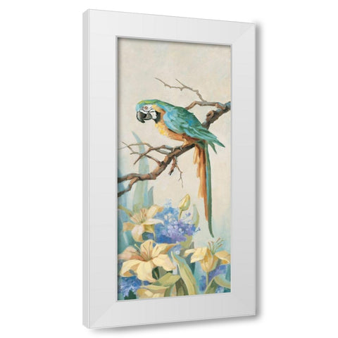 Parrot Looking Down White Modern Wood Framed Art Print by Unknown