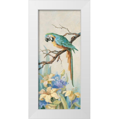 Parrot Looking Down White Modern Wood Framed Art Print by Unknown