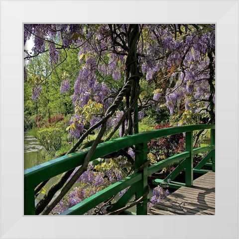 Jardin de Monet a Giverny II White Modern Wood Framed Art Print by Pinsard, Laurent