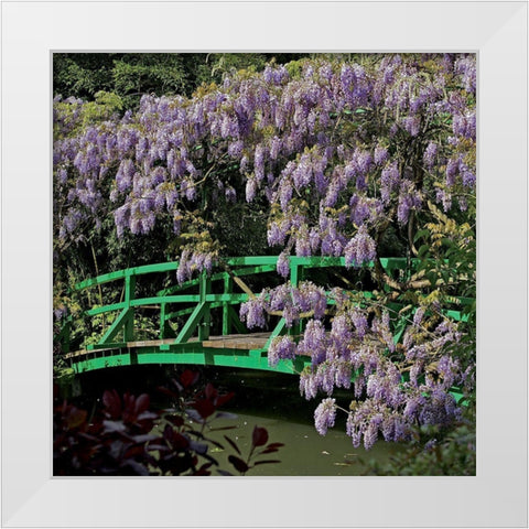 Jardin de Monet a Giverny III White Modern Wood Framed Art Print by Pinsard, Laurent