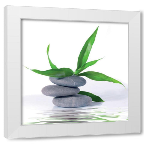 Aqua III White Modern Wood Framed Art Print by BRAUN Studio