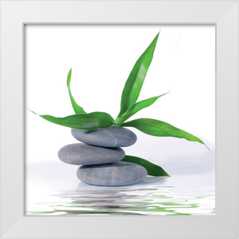 Aqua III White Modern Wood Framed Art Print by BRAUN Studio