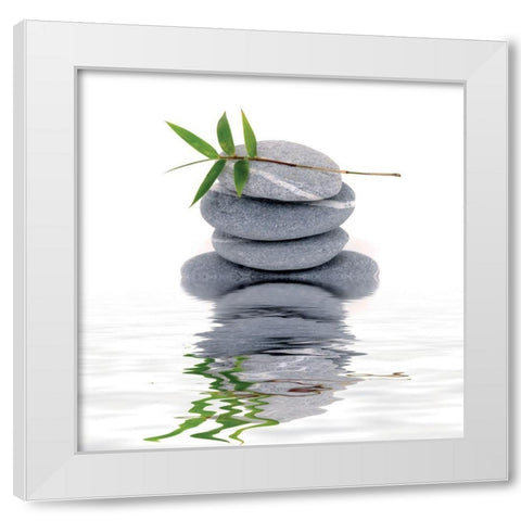 Aqua IV White Modern Wood Framed Art Print by BRAUN Studio