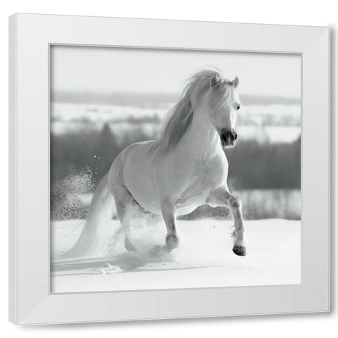 CriniÃ¨re de Neige White Modern Wood Framed Art Print by Braun Studio