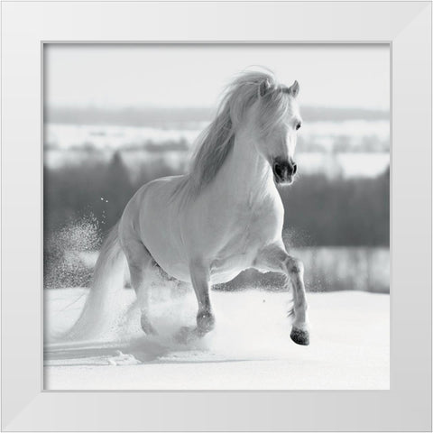 CriniÃ¨re de Neige White Modern Wood Framed Art Print by Braun Studio