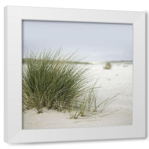 Plage 6 White Modern Wood Framed Art Print by Braun Studio