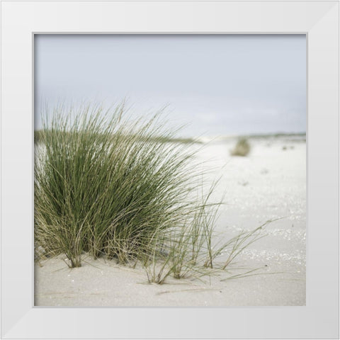 Plage 6 White Modern Wood Framed Art Print by Braun Studio