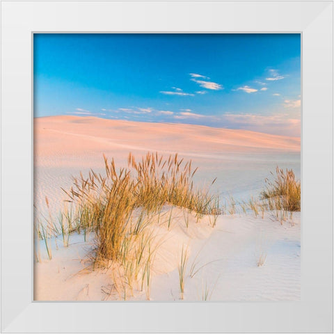 Plage 14 White Modern Wood Framed Art Print by Braun Studio
