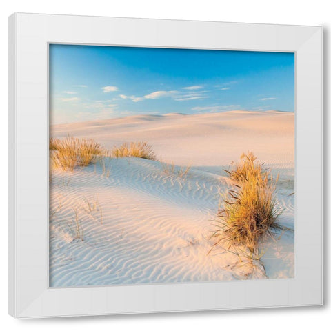 Seigle de Mer White Modern Wood Framed Art Print by Braun Studio