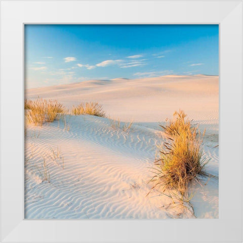 Seigle de Mer White Modern Wood Framed Art Print by Braun Studio