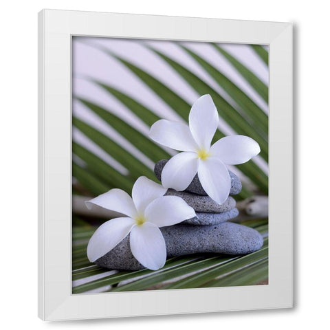 Zen et galets I White Modern Wood Framed Art Print by Chatelain, Sonia