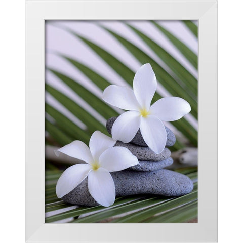 Zen et galets I White Modern Wood Framed Art Print by Chatelain, Sonia