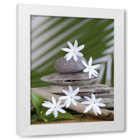 Zen et galets II White Modern Wood Framed Art Print by Chatelain, Sonia