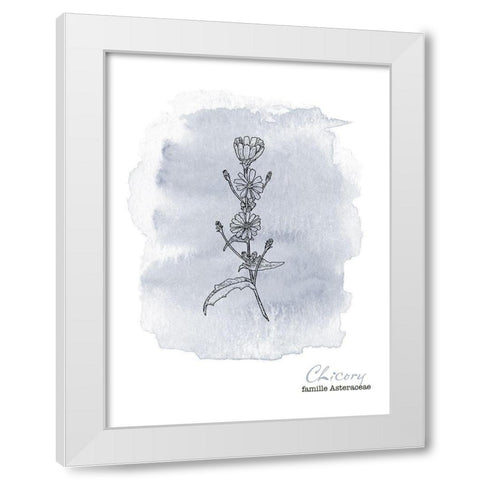 Planche botanique 1 White Modern Wood Framed Art Print by Braun Studio