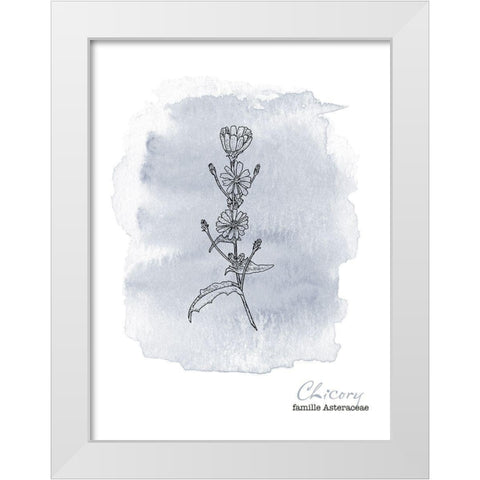 Planche botanique 1 White Modern Wood Framed Art Print by Braun Studio