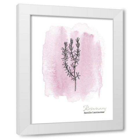 Planche botanique 2 White Modern Wood Framed Art Print by Braun Studio